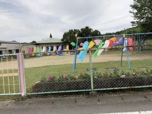 探してみてね